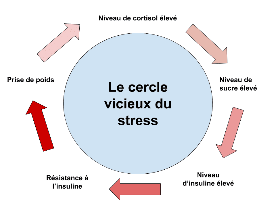 Comment le stress fait prendre du poids - Sante d Acier