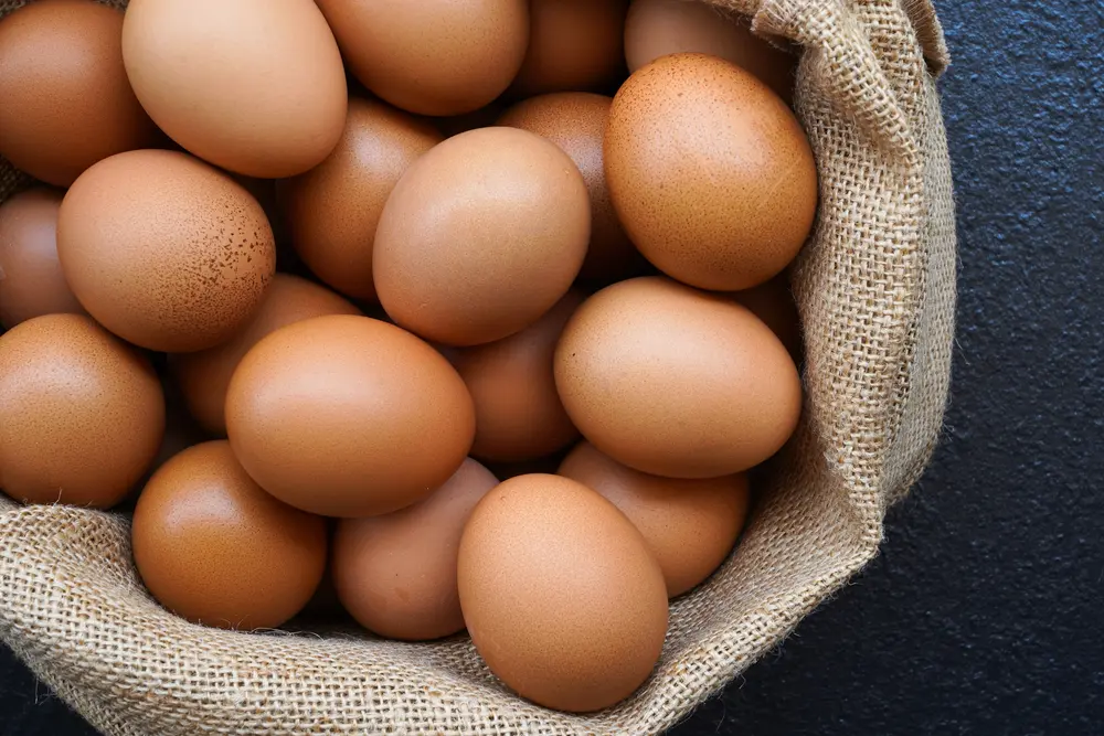 Quelle source de protéines d'oeufs pour maigrir - sante dacier
