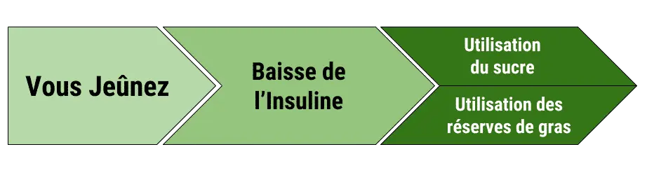 Le jeûne intermittent : la solution ultime pour une perte de poids sans stagnation