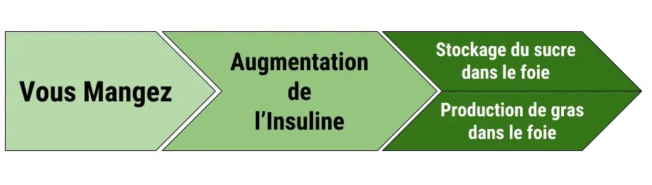 Le jeûne intermittent : la solution ultime pour une perte de poids sans stagnation