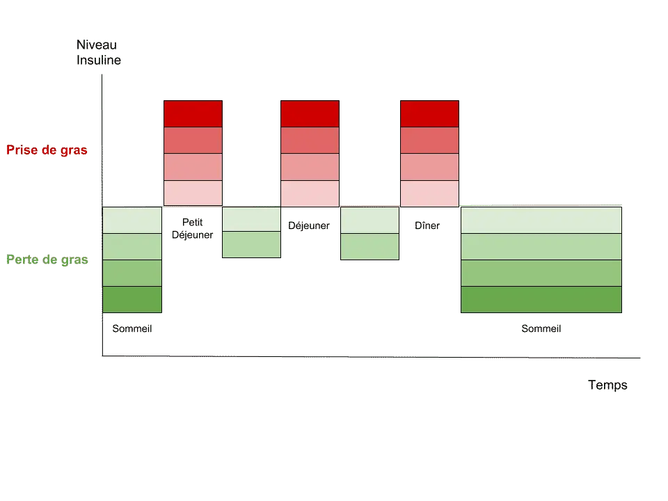 Sécrétion-dinsuline-avec-3-repas-par-jour-soit-12-heures-de-jeûne-10-