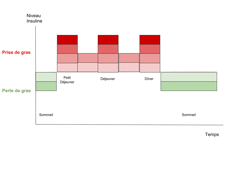 Le jeûne intermittent : la solution ultime pour une perte de poids sans stagnation