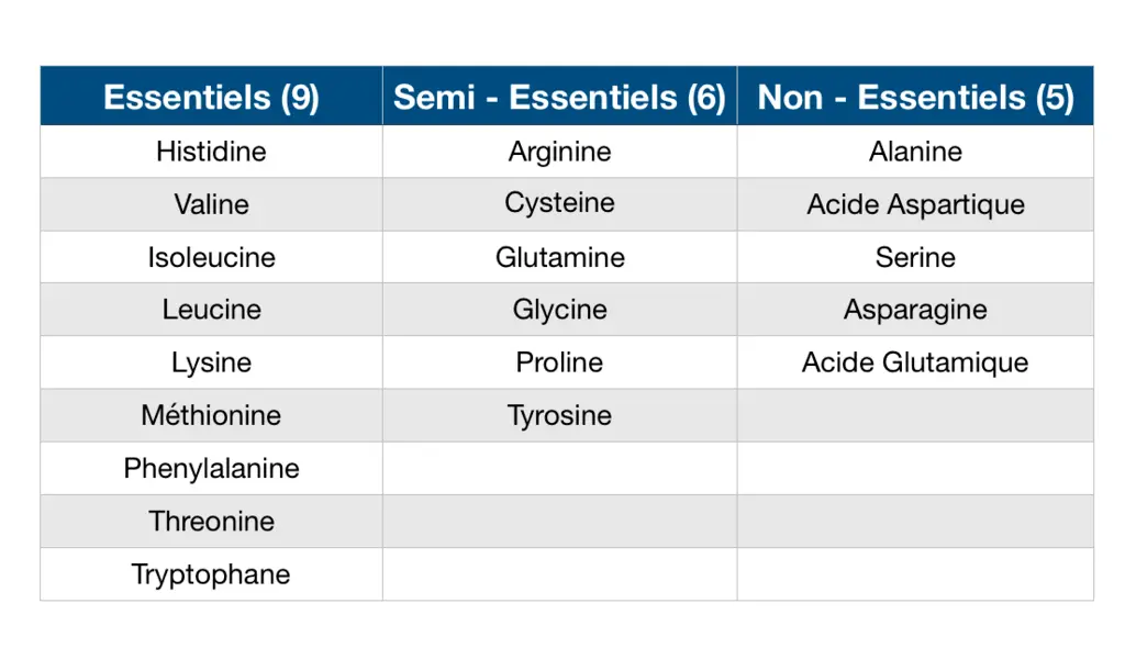 La liste de tous les acides aminées essentiels et non essentiels - sante dacier