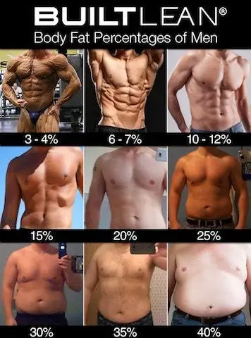 body-fat-percentage-men