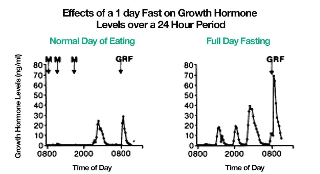 Niveau-dhormone-de-croissance-durant-un-jeûne-4-Santé-dAcier