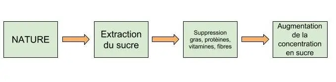 C'est quoi le sucre raffiné - Santé d'Acier