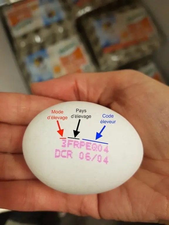 Comment choisir ses oeufs - Sante d acier
