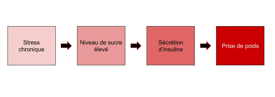 L'imapct du stress sur la prise de poids - Santé d'Acier