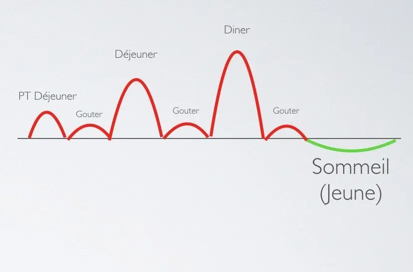 Sécrétion d'insuline à 6 repas par jour - Santé d'Acier