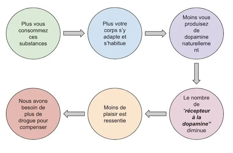 Pourquoi sommes-nous accro au sucre - Santé d'Acier